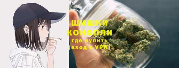 эйфоретик Богданович