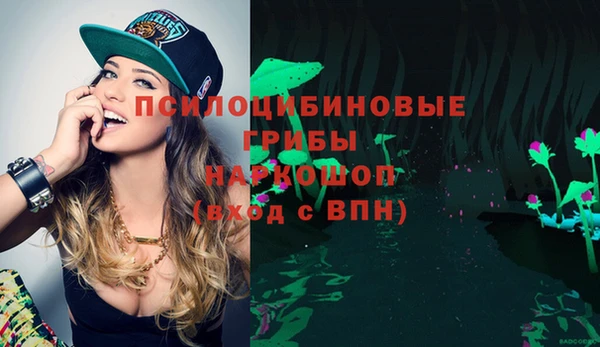mdma Богородск