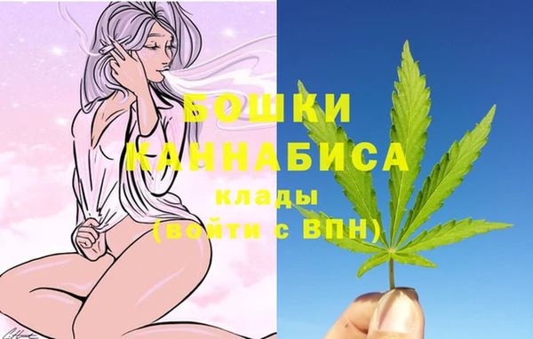 эйфоретик Богданович