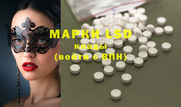 эйфоретик Богданович