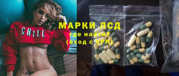 эйфоретик Богданович