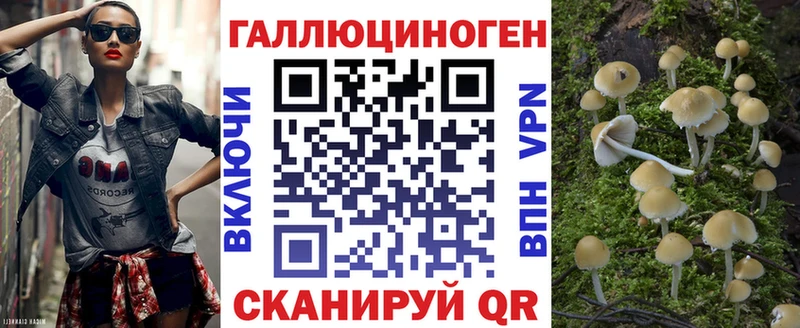 darknet состав  Ижевск  Псилоцибиновые грибы Psilocybine cubensis 
